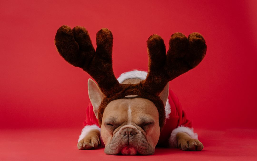 Holiday “Lull” Can be Productive, Beneficial for Sales Consultants- Carew International